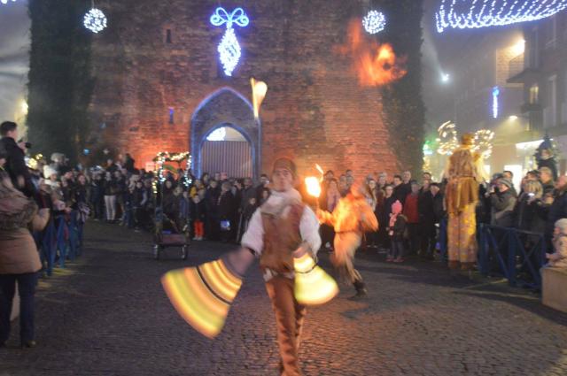 Les échassiers zicotins lumineux