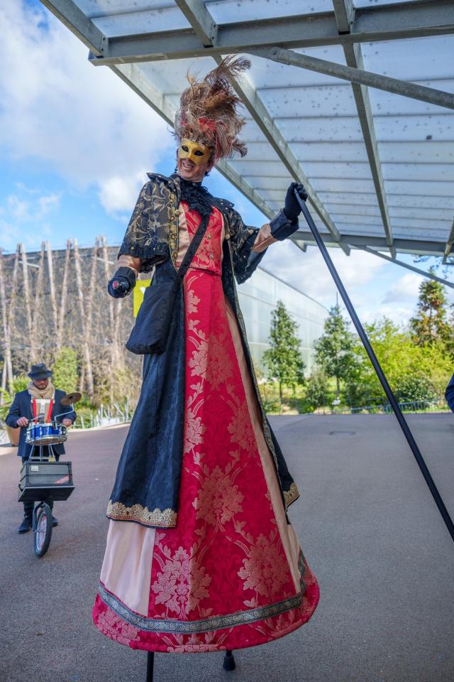 Les échassiers vénitiens