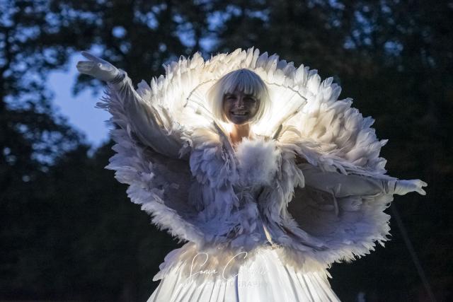 Les échassiers anges lumineux