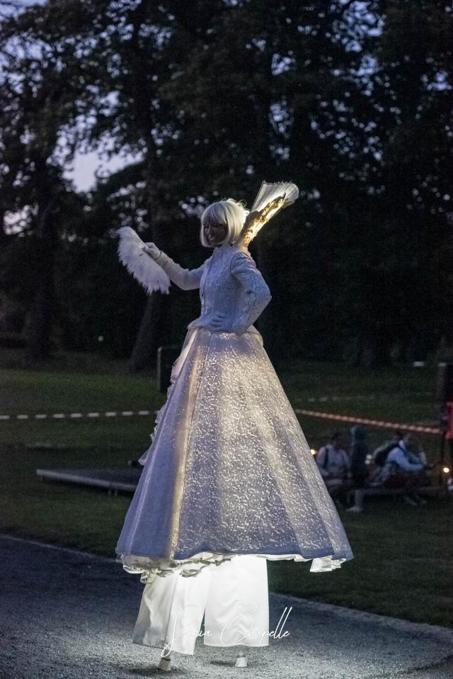 Les échassiers anges lumineux