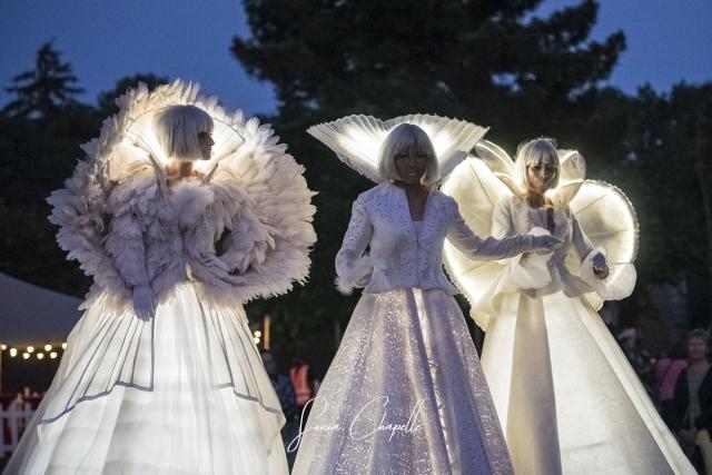 Les échassiers anges lumineux