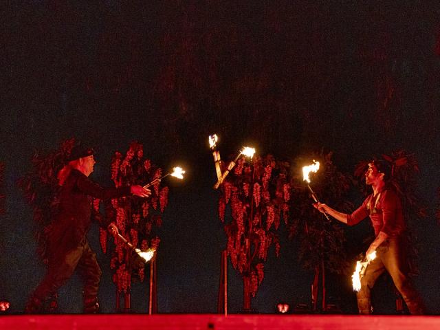 Spectacle ou déambulation feu et lumière