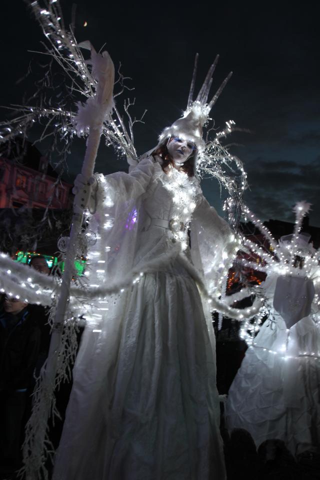 Les échassiers lumineux 