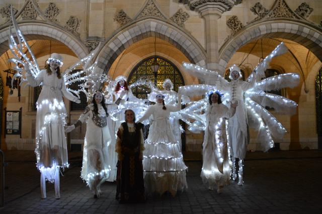 Les échassiers lumineux 